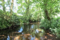 15.-Upstream-from-Edbrooke-Bridge-13