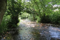 15.-Upstream-from-Edbrooke-Bridge-14