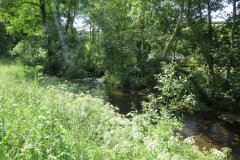 15.-Upstream-from-Edbrooke-Bridge-15