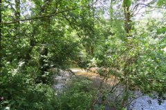 15.-Upstream-from-Edbrooke-Bridge-16