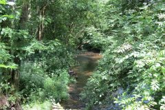 15.-Upstream-from-Edbrooke-Bridge-17