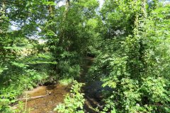 15.-Upstream-from-Edbrooke-Bridge-18