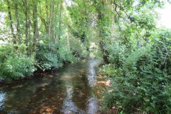 15.-Upstream-from-Edbrooke-Bridge-2