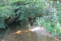 15.-Upstream-from-Edbrooke-Bridge-3