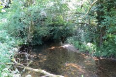 15.-Upstream-from-Edbrooke-Bridge-4