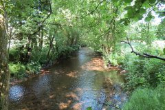 15.-Upstream-from-Edbrooke-Bridge-5