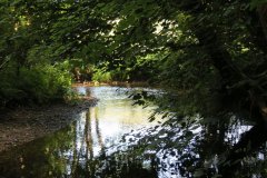15.-Upstream-from-Edbrooke-Bridge-6