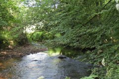 15.-Upstream-from-Edbrooke-Bridge-8
