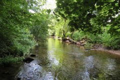 15.-Upstream-from-Edbrooke-Bridge-9