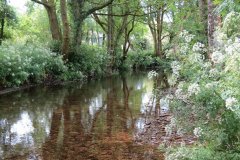 1_14.-Upstream-from-Winsford-Cricket-ground-1