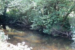 1.-Downstream-from-Edbrooke-Bridge-2