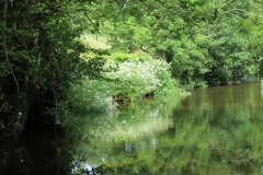 1.-Downstream-from-Edbrooke-Bridge-3