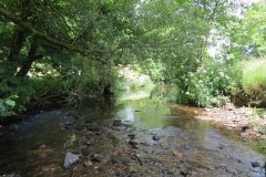 1.-Downstream-from-Edbrooke-Bridge-5
