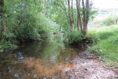 10.-Upstream-from-Week-Bridge-1