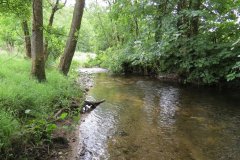 10.-Upstream-from-Week-Bridge-2
