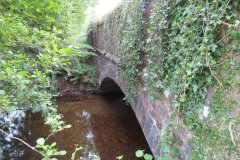 12.-Week-Bridge-downstream-arch.
