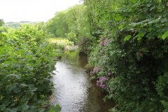 5.-Looking-downstream-from-Exe-Footbridge