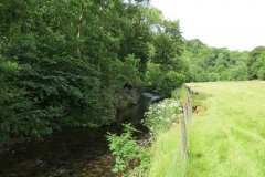 6.-Downstream-from-Exe-Footbridge-1