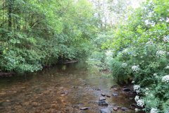 6.-Downstream-from-Exe-Footbridge-6