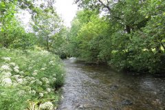 6.-Downstream-from-Exe-Footbridge-7