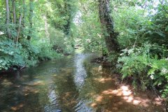 6.-Downstream-from-Exe-Footbridge-9