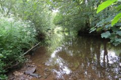 7.-Upstream-from-Week-Accommodation-Bridge-11