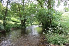 7.-Upstream-from-Week-Accommodation-Bridge-13