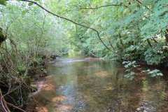 8.-Upstream-from-Week-Accommodation-Bridge
