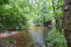 2.-Downstream-from-Week-Bridge-1