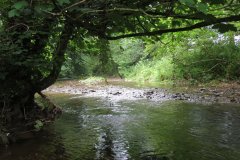 2.-Downstream-from-Week-Bridge-2