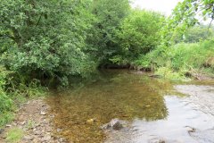 2.-Downstream-from-Week-Bridge-3