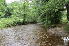 2.-Downstream-from-Week-Bridge-5