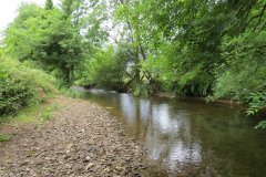 2.-Downstream-from-Week-Bridge-8