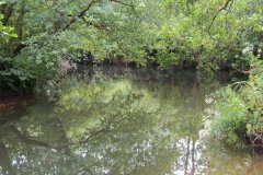 3.-Upstream-from-Bridgetown-Mill-Weir-4