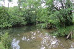 3.-Upstream-from-Bridgetown-Mill-Weir-6