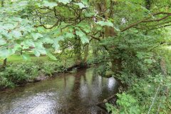 5.-Downstream-from-Bridgetown-Mill-Weir-2