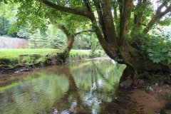 5.-Downstream-from-Bridgetown-Mill-Weir-3