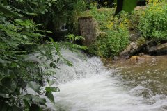 1.-Bridgetown-Mill-Weir-3