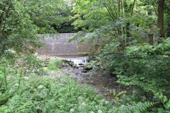 1.-Bridgetown-Mill-Weir-8