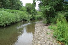 6.-Upstream-from-Milton-Bridge-19