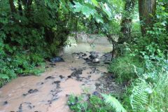 45-Tributary-stream-joins-the-Exe