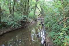 1.Upstream-from-West-entrance-of-Bickenhall-Bridge