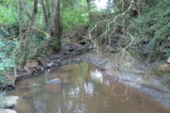 2.Upstream-from-West-entrance-of-Bickenhall-Bridge