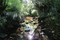 21.Upstream-from-south-entrance