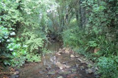 30.Upstream-from-south-entrance