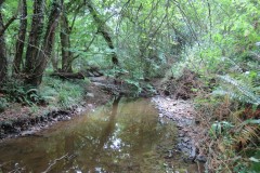 31.-Upstream-from-south-entrance-1