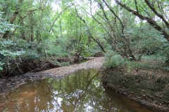 31.-Upstream-from-south-entrance-2