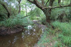 31.-Upstream-from-south-entrance-5