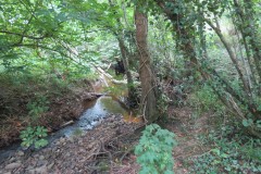 31.-Upstream-from-south-entrance-6