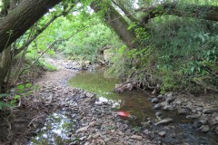 31.-Upstream-from-south-entrance-7